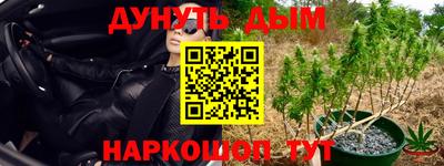 PSILOCYBIN Тула