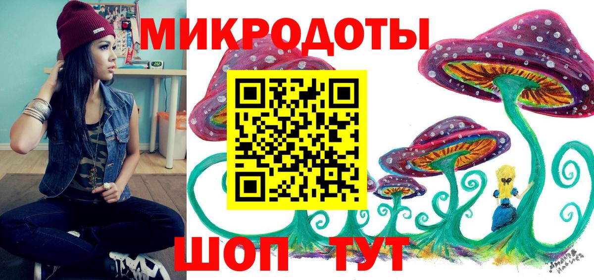 продажа наркотиков  Вход с VPN  Назрань  Псилоцибиновые грибы GOLDEN TEACHER  Псилоцибиновые грибы Psilocybe 